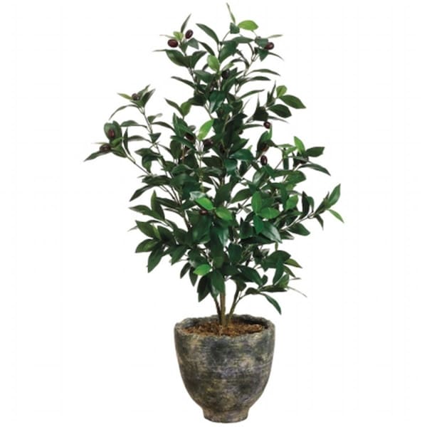 Allstate Floreal Allstate Floral WP7526-GR-TT 3 ft. Olive Tree in Pot Two Tone Green - WP7526-GR/TT