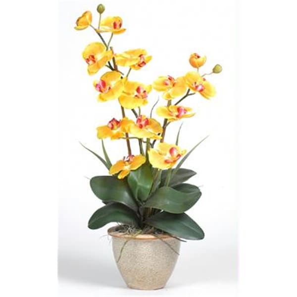 Nearly Natural Double Stem Phalaenopsis Silk Orchid Arrangement - 1026-GD