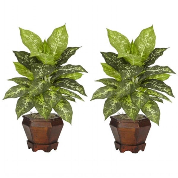 Dare2Decor Dieffenbachia with Wood Vase Silk Plant - DA2623859