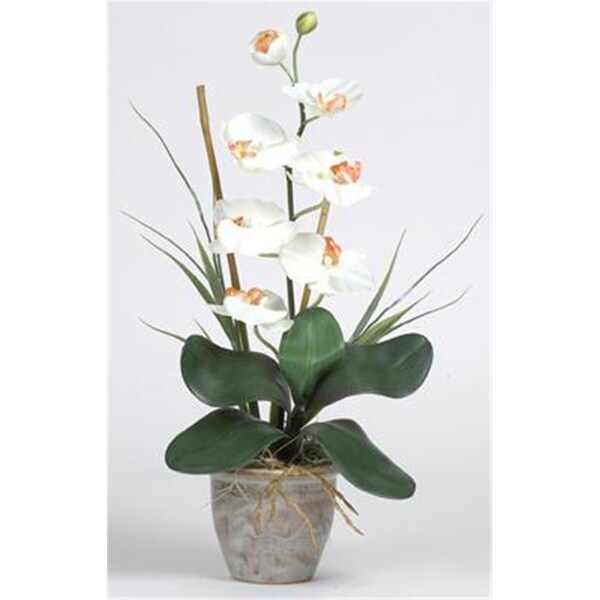 Nearly Natural Single Stem Phalaenopsis Silk Orchid Arrangement - 1016-CR