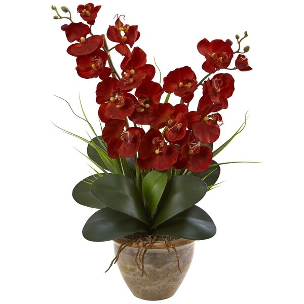 Dare2Decor Seasonal Double Phalaenopsis Orchid Arrangement; Autumn - DA857841