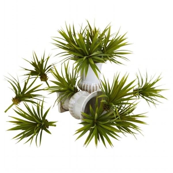 Dare2Decor Mini Spiky Agave Succulent Plant - Set of 12 Green 6in. x 5.5in. - DA3085540