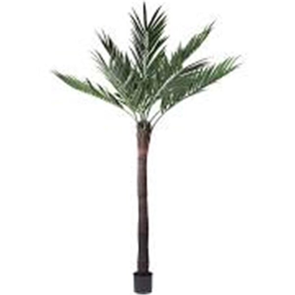 Dare2Decor 4 in. X6 Parlour Palm with 261 Leaves - Green - DA1236047