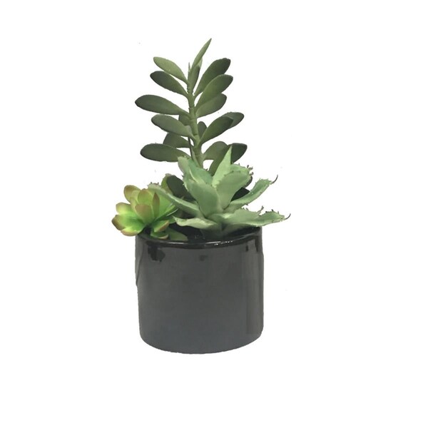 Vickerman 9 in. Green Succulents in Cement Pot - FM181201