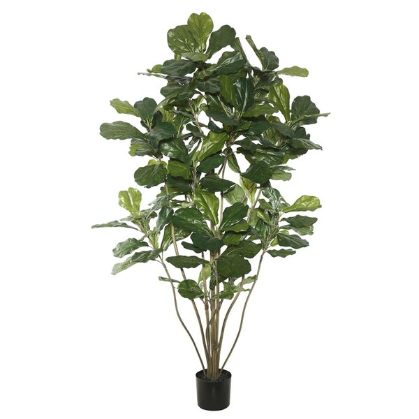 Dare2Decor 5 in. Potted Fiddle Tree with 168 Leaves, Green - DA2043194