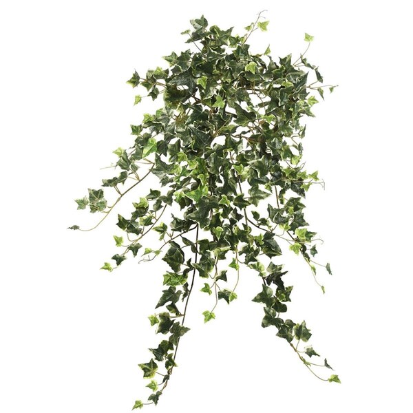 Dare2Decor 26 in. Artificial Variegated Mini Ivy Hanging Bush, Green - DA599129