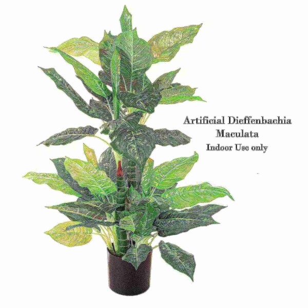 Nature Spring 40 In Artificial Dieffenbachia Plant - 560343CLL