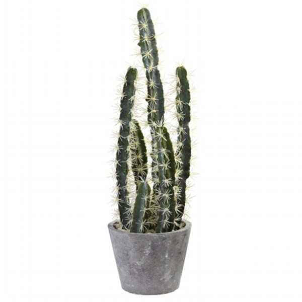 Nearly Natural Decorative Cactus Garden With Cement Planter - 4845