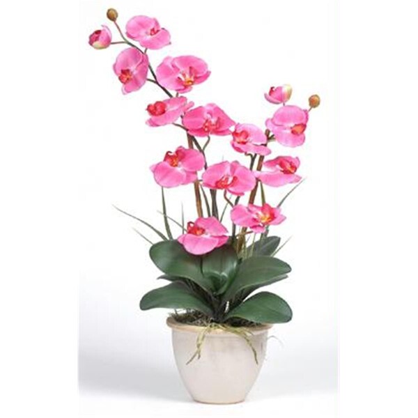 Nearly Natural Double Stem Phalaenopsis Silk Orchid Arrangement - 1026-DP