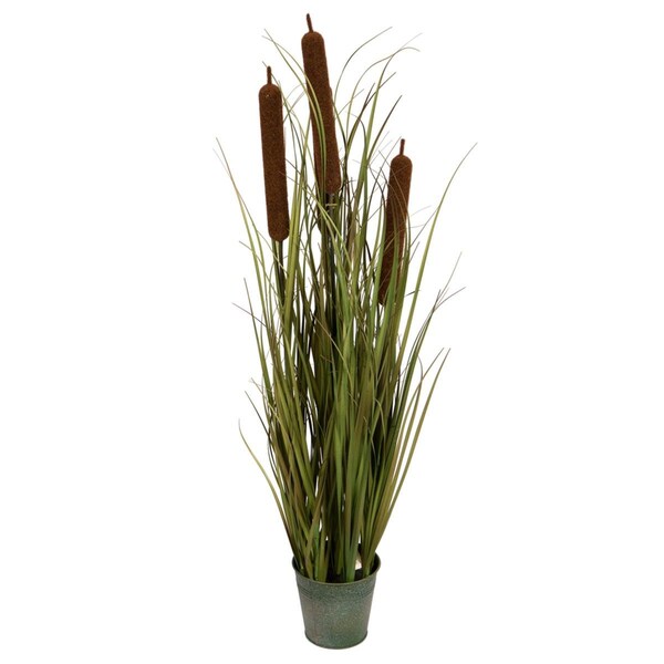 Vickerman 36 in. Brown Cattail Grass in Iron Pot, Green - TD190636