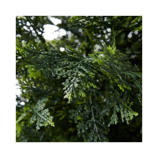 Nature Spring Nature Spring 5 FT Faux Cedar Potted Topiary Tree - 101361UVL