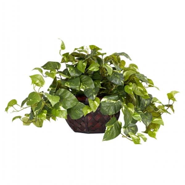Nearly Natural Pothos with Decorative Vase Silk Plant -Same as 6635 - 6681