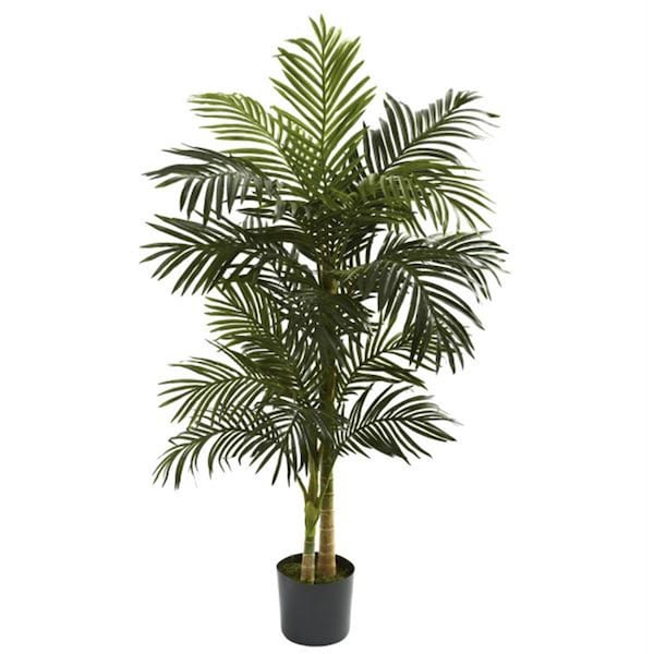 Nearly Natural 5 and rsquo; Golden Cane Palm Tree - 5358