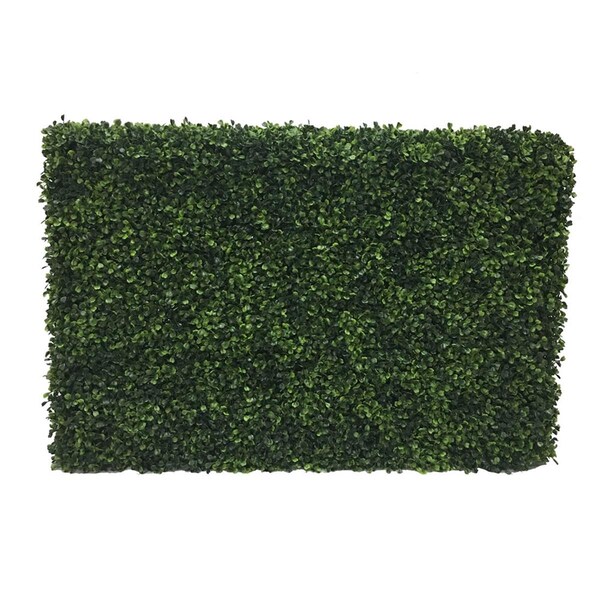 Dare2Decor UV Boxwood Hedge - 36 x 12 x 24 in. - DA599023