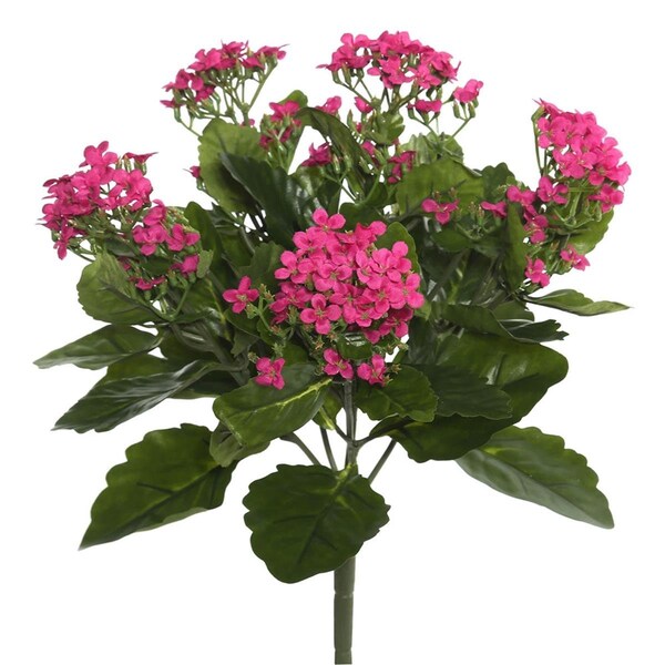 Dare2Decor 17.25 in. Kalanchoe Bush, Hot Pink - DA1236091