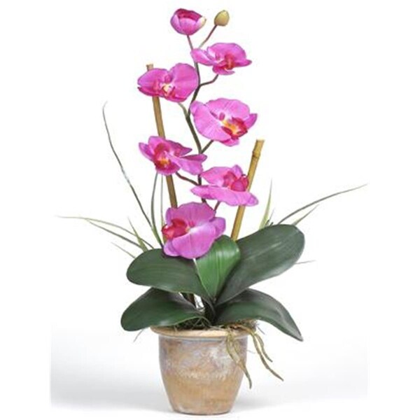 Nearly Natural Single Stem Phalaenopsis Silk Orchid Arrangement - 1016-OR