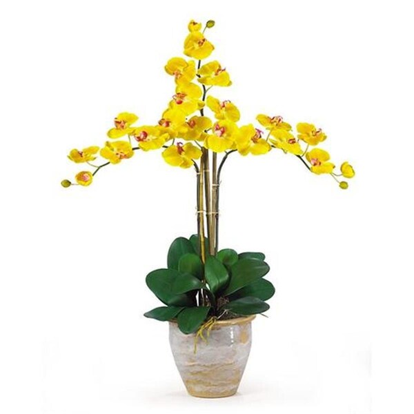 Dare2Decor Triple Stem Phalaenopsis Silk Orchid Arrangement - DA409367