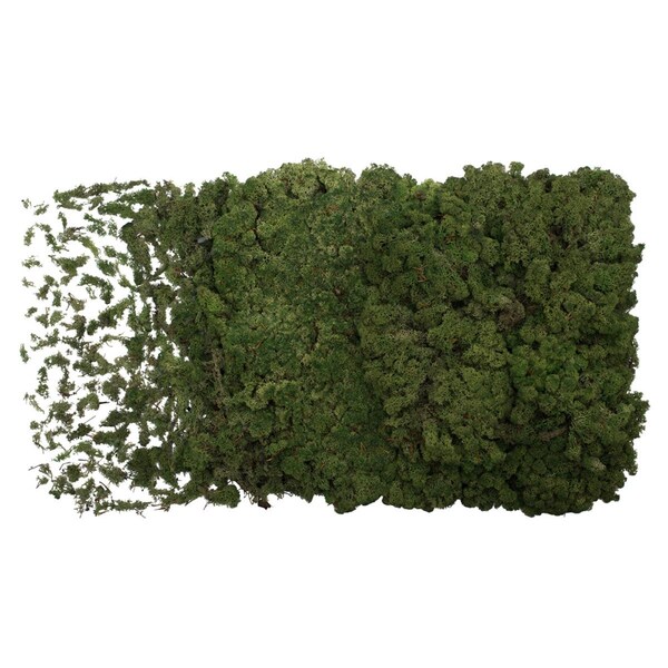 Vickerman 2 lbs Grass Green Preserved Reindeer Moss - H4RDM150-2