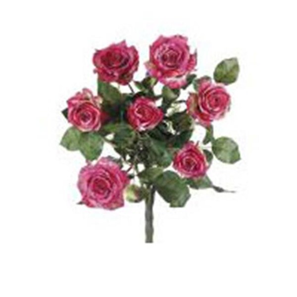 Allstate FBR054-RO-TT 21.5 in. Two Tone Rose Confetti Rose Bush X7- Case of 1 - FBR054-RO/TT