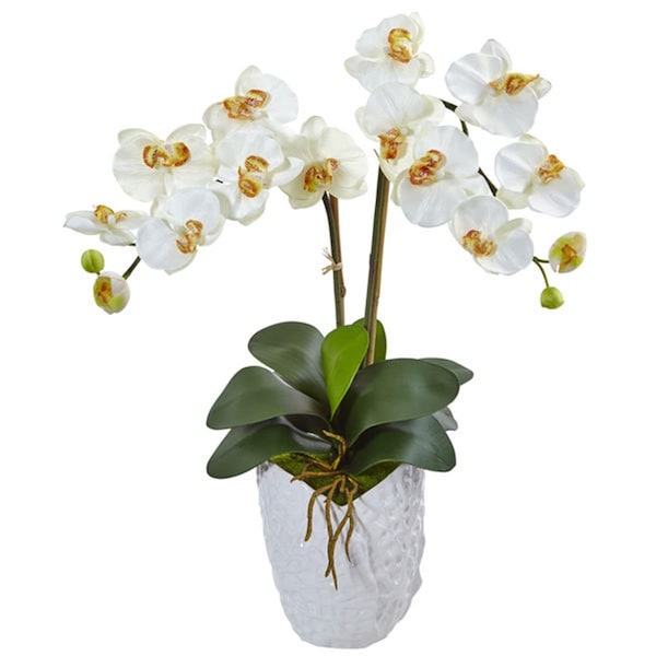 Nearly Natural Double Phalaenopsis Orchid in White Vase, Cream - 1480-CR