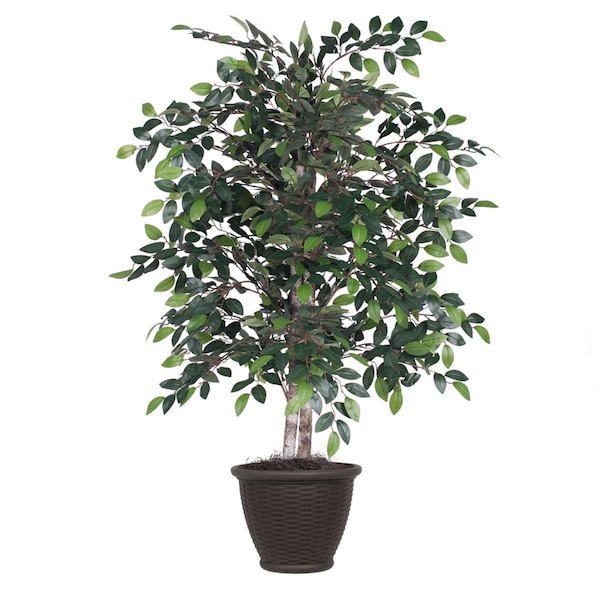 Vickerman 4 ft. Artificial Mini Ficus Bush in Brown Plastic Container, Green - TBU4240-RB
