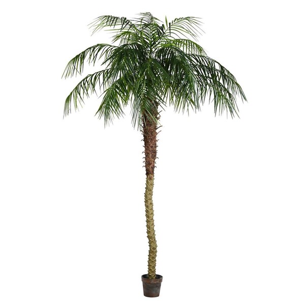 Vickerman 8 ft. Potted Pheonix Palm Tree 1095-Leaves - TB180396