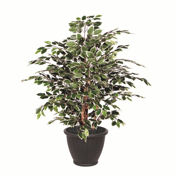 Dare2Decor 4 ft. Variegated Extra Full in Gray Pot Decorative Plant, Green & White - DA3252358