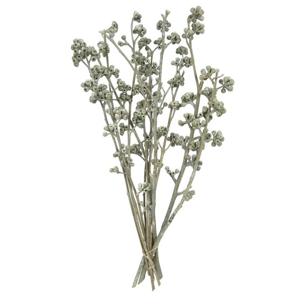 Vickerman 13 x 1-3 in. Frosted Branch, Green - 14 Piece - H1RGM150