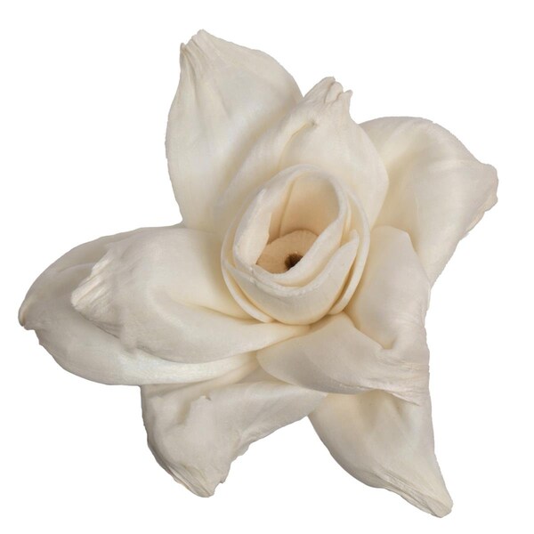 Dare2Decor 1-3 in. Assorted Jonquil Sola Head Artificial Flowers, Natural - 24 per Bag - DA3248712