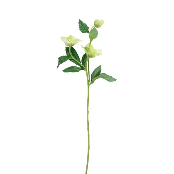 Allstate 22 in. Helleborus Mollys Artificial Silk Floral Spray Flowers - 35164003
