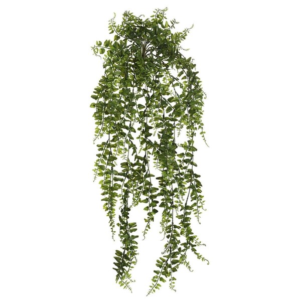Vickerman 30 in. Green Bucler Fern Vine - FK170401