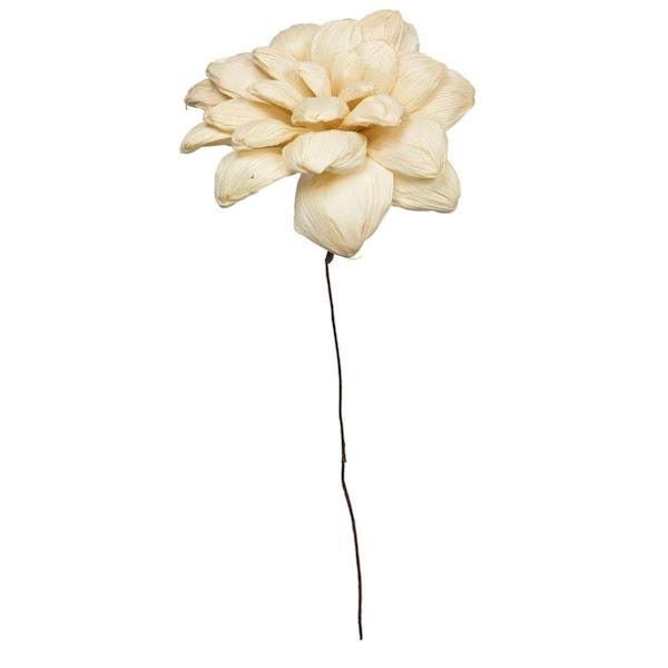 Dare2Decor 6 in. Bleachd Maize Dahlia on 18 in. Stem, 6PK - DA3248711