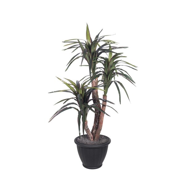 Vickerman 4 ft. Marginata Extra Full in Gray Pot Plant, Dark Green - TXX1140-RG