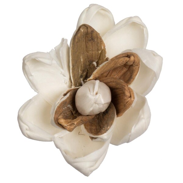 Vickerman 1-3 in. Assorted Lillian Sola Head Artificial Flowers, Natural, 24PK - H7SFL004