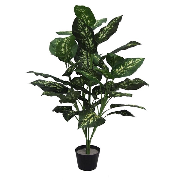 Vickerman Dieffenbachia Plant X5 Everyday Tree - 36 in. - TP170036