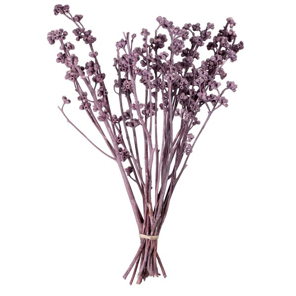 Vickerman 13 x 1-3 in. Red Gum Brombeer Frosted Bunch - 14 Piece - H1RGM575