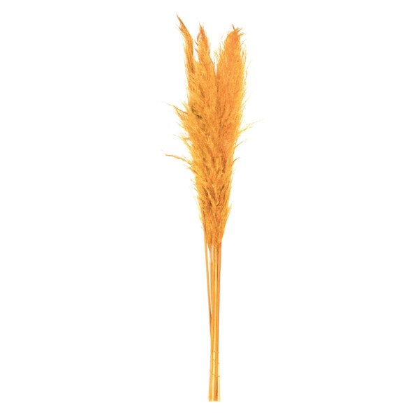 Dare2Decor 46 in. Pampas Grass, Aspen Gold, 6PK - DA3269739