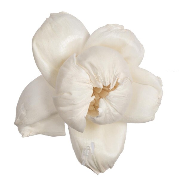 Dare2Decor 1-3 in. Assorted Rosette Sola Head Artificial Flowers, Natural - 24 per Bag - DA3252346