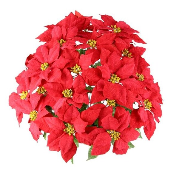 Adlmired By Nature Admired by Nature GPB969-RED 24 Stems Faux Velvet Poinsettia Christmas Bush; Red - GPB969-RED