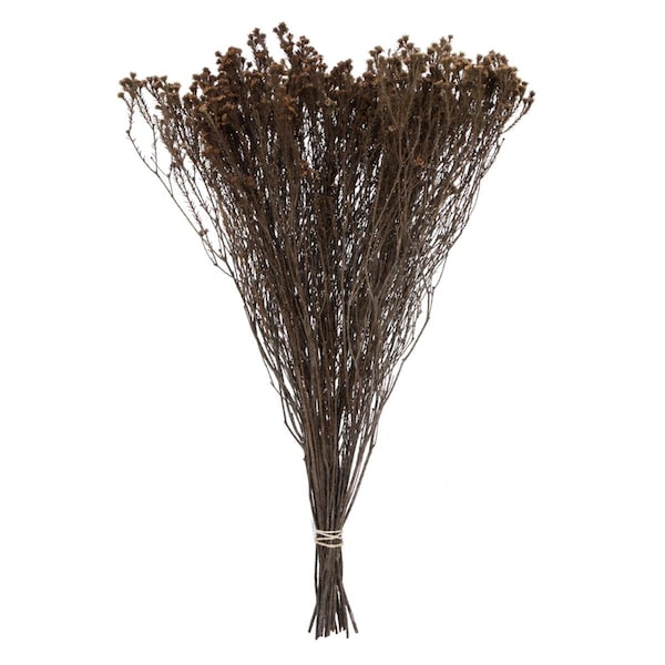 Dare2Decor 19 x 4 in. 3.5 oz Staavia Bunch Flowering Foliage, Natural - DA2017238