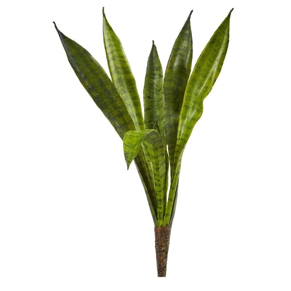 Dare2Decor 20 in. Sansevieria Artificial Plant - Set of 6 - DA3085555