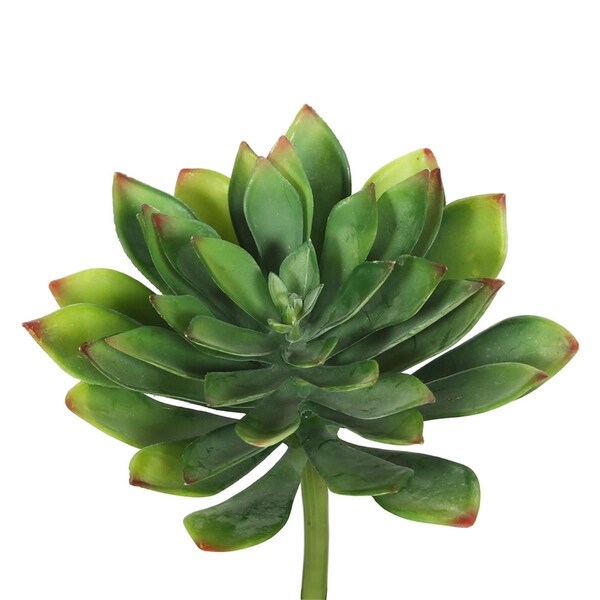 Vickerman Green Cactus Succulent - 10 in. - 3 Per Bag - FA171101
