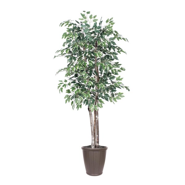 Dare2Decor 6 ft. Variegated Deluxe Round Brown Container Decorative Plant, Green & White - DA3260709