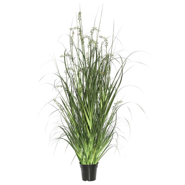 Vickerman 36 in. Sheeps Grass in Pot, Green - TN171236