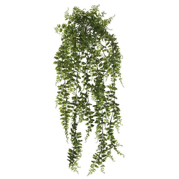Dare2Decor 30 in. Green Bucler Fern Vine - DA1235986