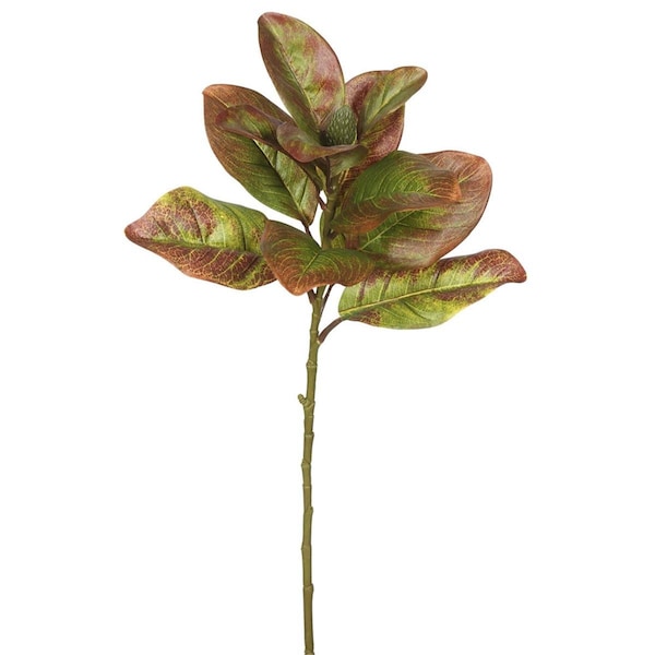Dare2Decor Single Magnolia Leaves-Autumn Greenery Stem, 3PK - DA579386