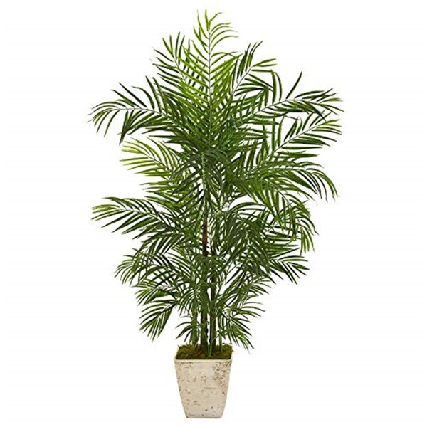 Dare2Decor 63 in. Areca Artificial Palm Tree in Country White Planter - DA3085579