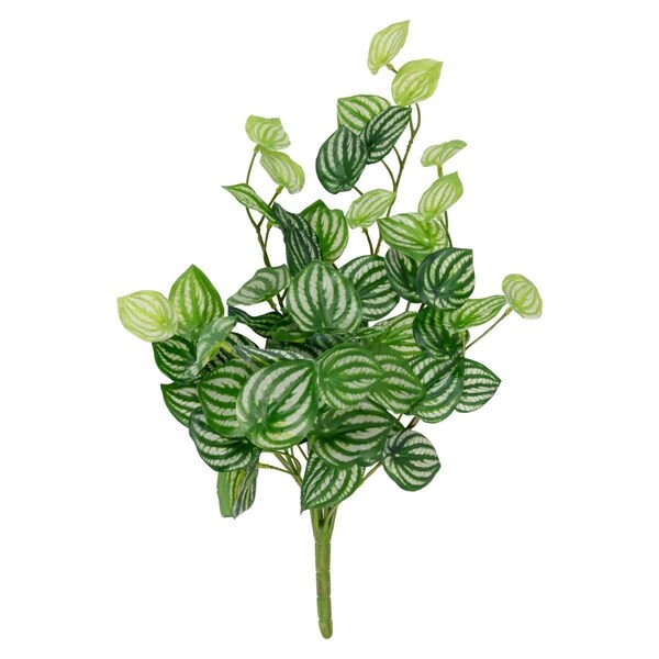 Allstate 16 in. Peperomia Watermelon Leaves Artificial Plant - Large - 35164062