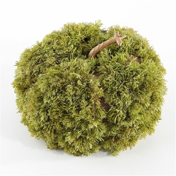 Safavieh 10 in. Faux Decorative Artificial Moss Pumpkin, Green - FXP1067A