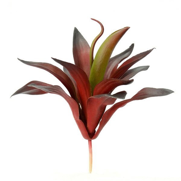 Dare2Decor 9.5 in. Purple &amp; Red Aloe Vera Pick - DA3267191